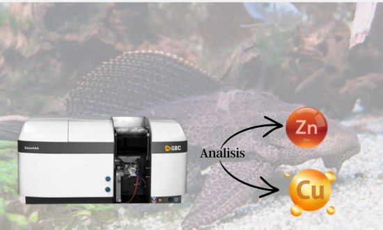 Validasi Metode Analisis Tembaga (Cu) dan Seng (Zn) pada Ikan Sapu-sapu Asal Sungai Tercemar Menggunakan Atomic Absorption Spectrophotometer Savant AA